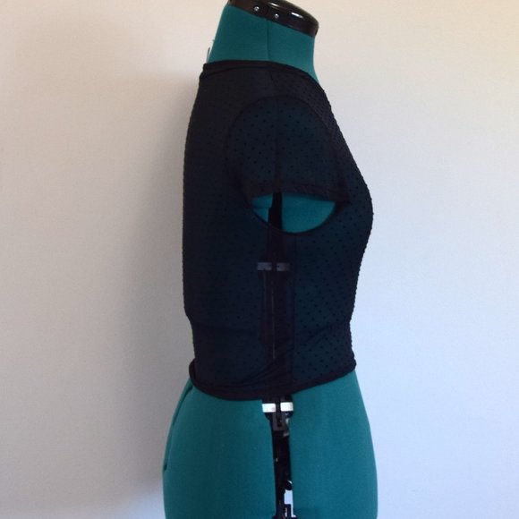 Black Swiss Dot Mesh Sheer Crop Top Baby Tee - Picture 3 of 7